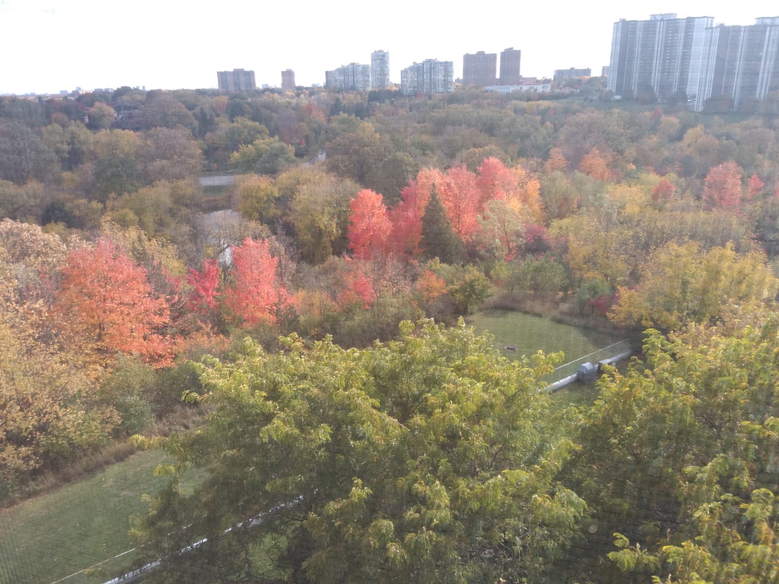 Rare Terrace unit for sale at 61 Markbrook Lane, Etobicoke Terrace unit for sale at 61 Markbrook Lane