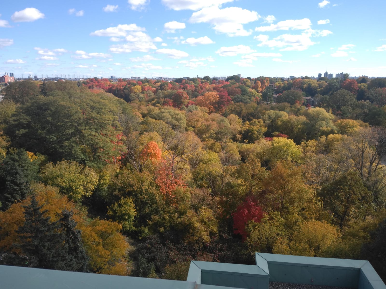 Rare Terrace unit for sale at 61 Markbrook Lane, Etobicoke Terrace unit for sale at 61 Markbrook Lane