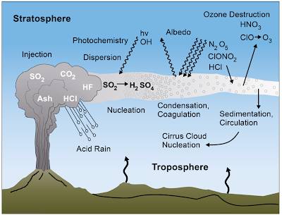 Net Zero
