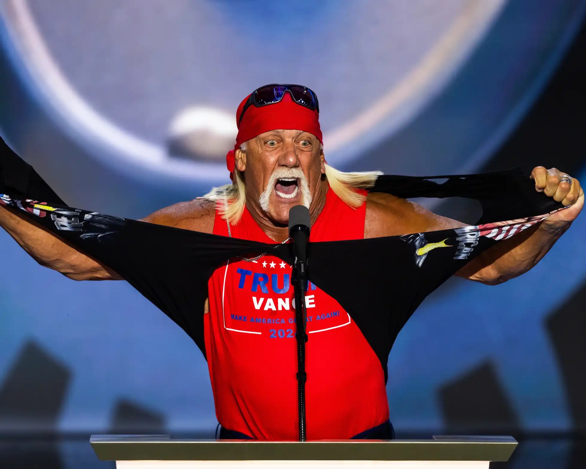 hulk Hulk Hogan