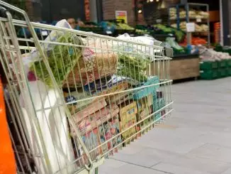 Dutch price level