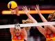 World Championship-fairy tale Volleyball
