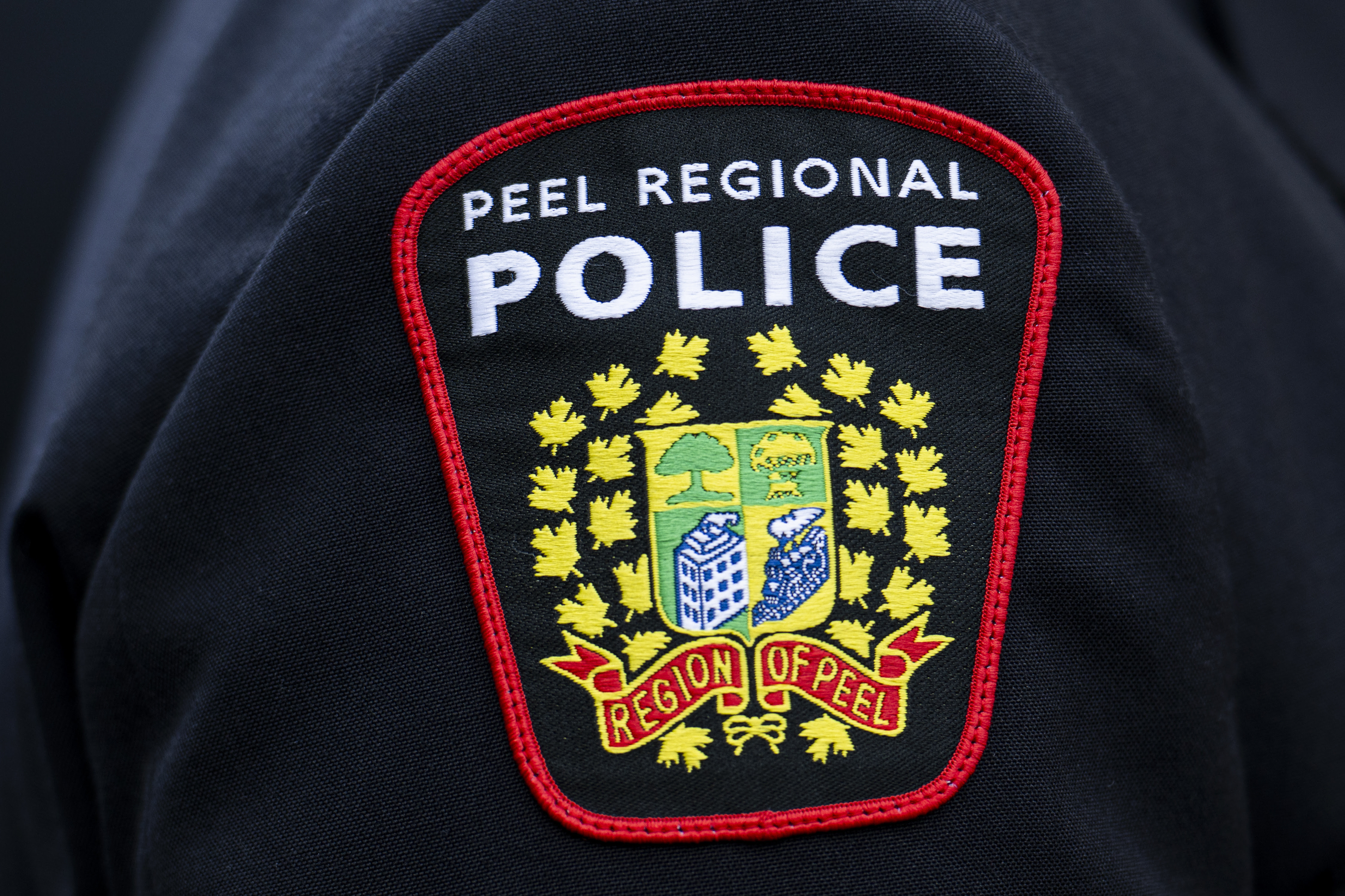 peel South Asian business owners