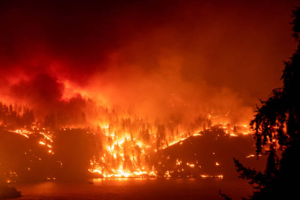 fire firefighters